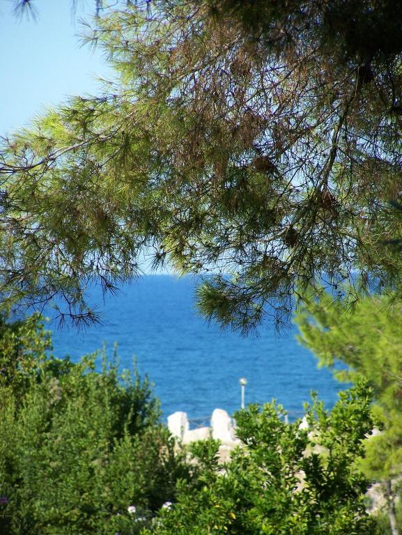 Tenuta Molino Di Mare- Ecoresort Con Villini Rodi Garganico Kültér fotó