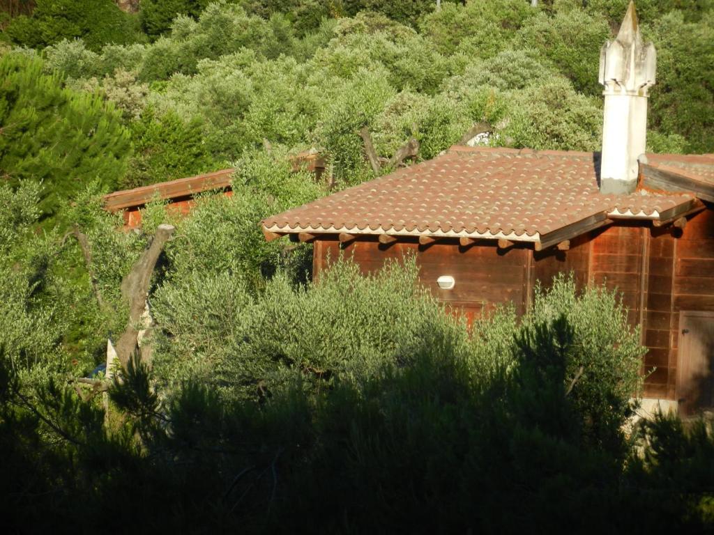 Tenuta Molino Di Mare- Ecoresort Con Villini Rodi Garganico Kültér fotó