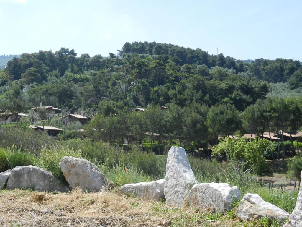 Tenuta Molino Di Mare- Ecoresort Con Villini Rodi Garganico Kültér fotó